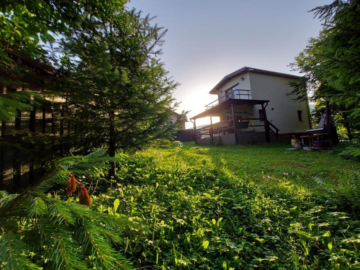 C House Villa บุชเตนี ภายนอก รูปภาพ